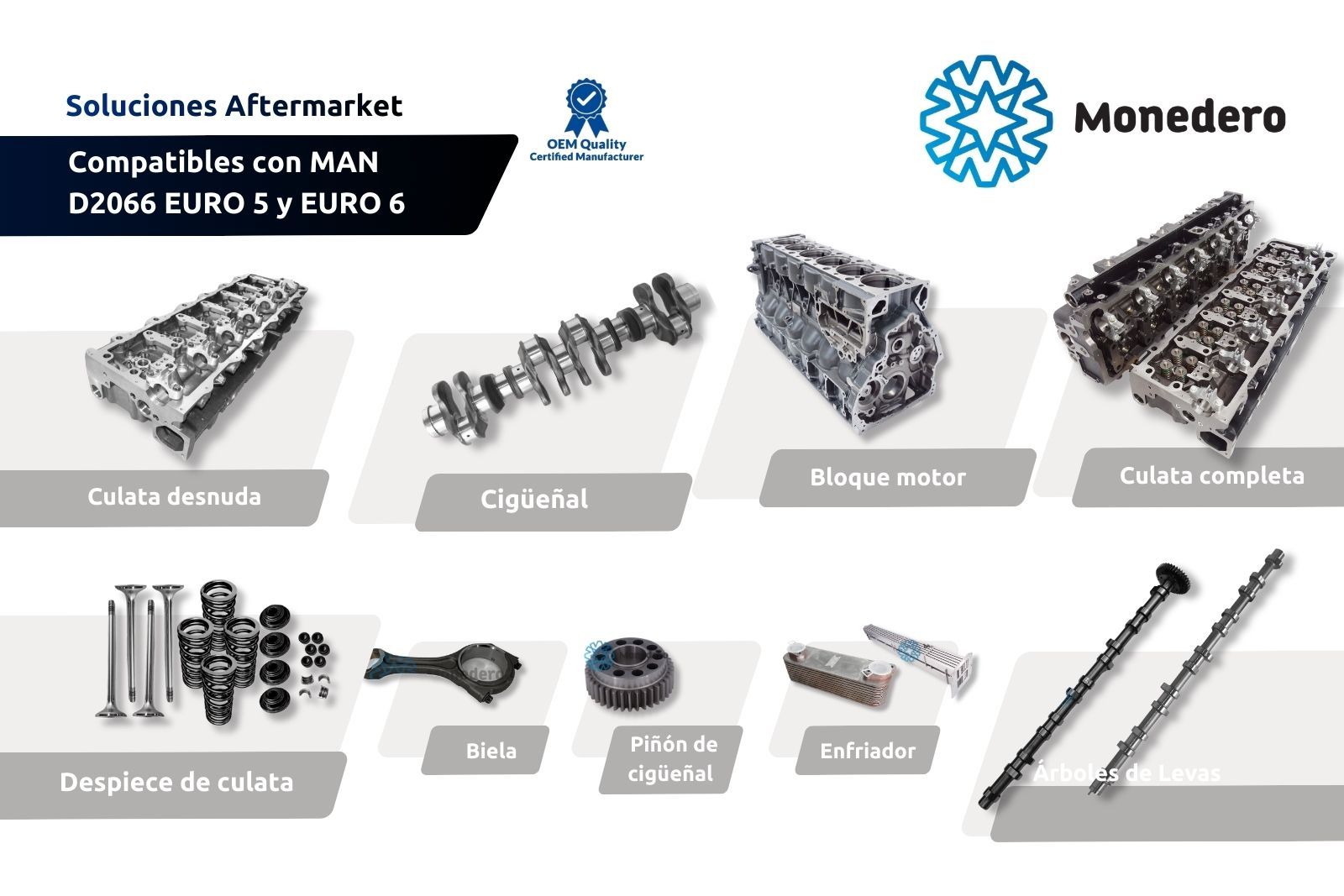 Soluciones Aftermarket Compatibles con MAN D2066 EURO 5 y EURO 6